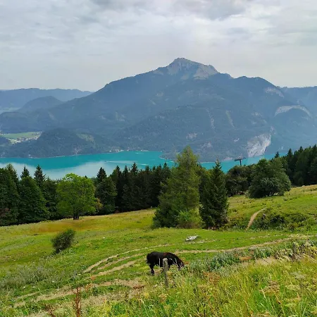 Good Times @ Salzburg Holiday home *