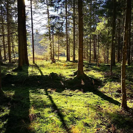 Good Times @ Salzburg *