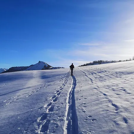 別荘 Good Times @ Salzburg