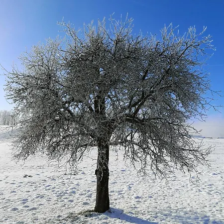 Good Times @ Salzburg 別荘 *