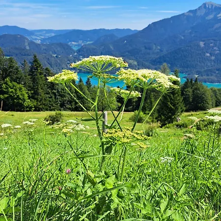 Good Times @ Salzburg *