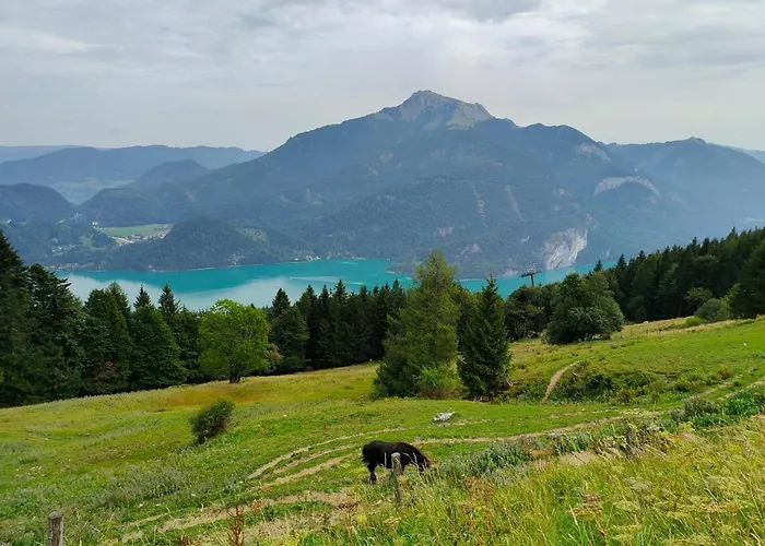 Good Times @ Salzburg 別荘 *