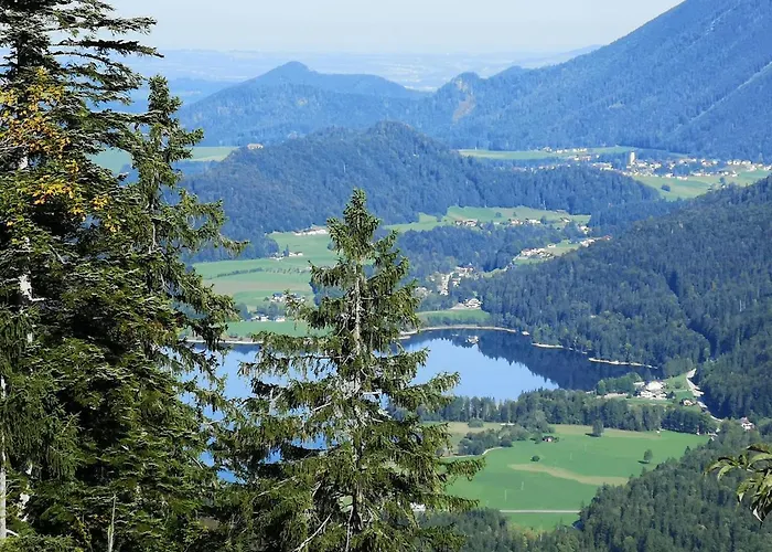 別荘 Good Times @ Salzburg Koppl